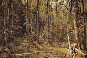 И. Шишкин. Смешанный лес (Шмецк близ Нарвы). 1888. ГРМ