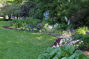 Цветник Михайловского сада