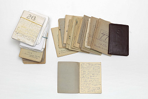 Записные книжки М. Жванецкого