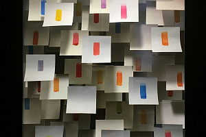 П. Инфанте. Color notes. 2019