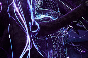 © Михаил Вильчук