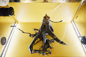 © Михаил Вильчук