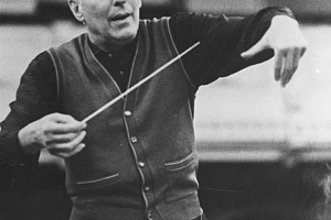 Карл Элиасберг