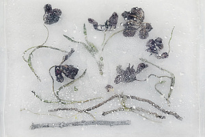 Танец цветов. Тюльпан