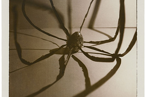 Оммаж Луизе Буржуа