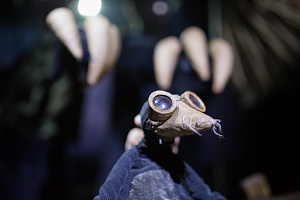 © Артём Урванцев