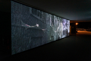 Mat Collishaw. Echolocation. 2021. Photo Jeff Moor. Courtesy of the artist