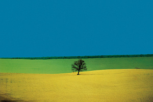 Пейзаж, Апулия. 1987 © Франко Фонтана (любезно предоставлено студией Franco Fontana)