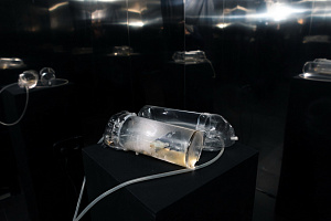 © Дмитрий Григорьев, ITMO.NEWS