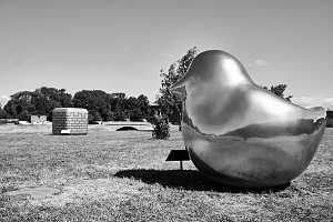 Новгородская область. Михаил Зыгарь