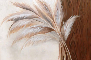 Анастасия Шалаева