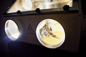 © Михаил Вильчук