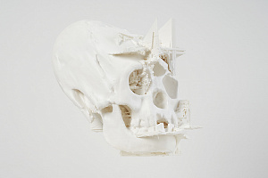 Kirill Rave. Scull of Civilization X. 2022