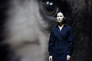 © Стас Левшин