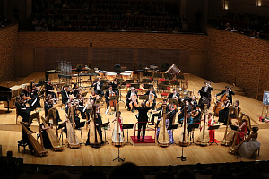 Северная лира. Фото Наташи Разиной © Мариинский театр